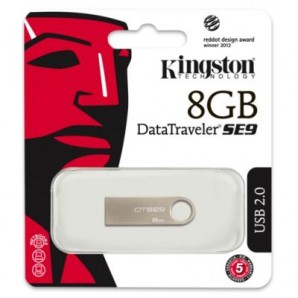 Память Flash USB 08 Gb Kingston DTSE9 фото №1596