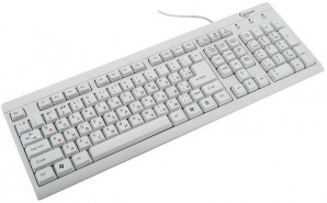 Клавиатура Gembird KB-8300U-R USB белая фото №1723