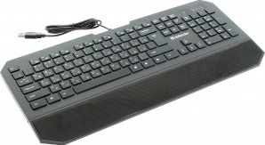 Клавиатура Defender SM-600 PRO Oscar (Черный), USB глянц12 доп.кн-к, 7 доп.ф-ций фото №3994