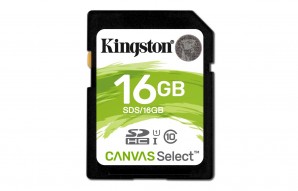 Память SDHC Card 016 Gb Kingston Class 10 UHS-I Canvas Select 80R (SDS/16GB) фото №13746