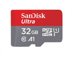 Память MicroSDHC 032Gb SanDisk Class10 UHS-I Ultra Android 80MB/s без ад. (SDSQUNS-032G-GN3MN) фото №15360