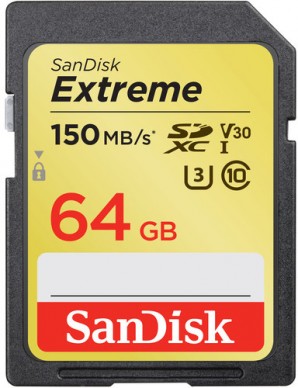 Память SDXC Card 064 Gb SanDisk Class10 Extreme 150MB/s V30 (SDSDXV6-064G-GNCIN) фото №16589