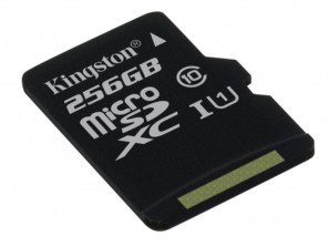 Память MicroSDXC 256GB Kingston Class 10 UHS-1 <SDCS2/256GB> Canvas Select up to 100MB/s с адапт фото №17667